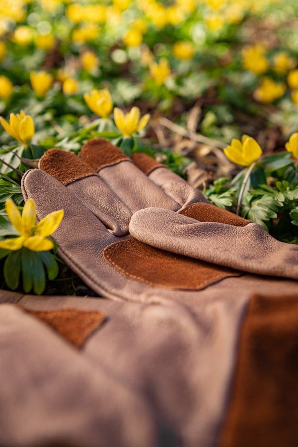 Rosenhandske "Rosie Mocca" - Blomsterverden